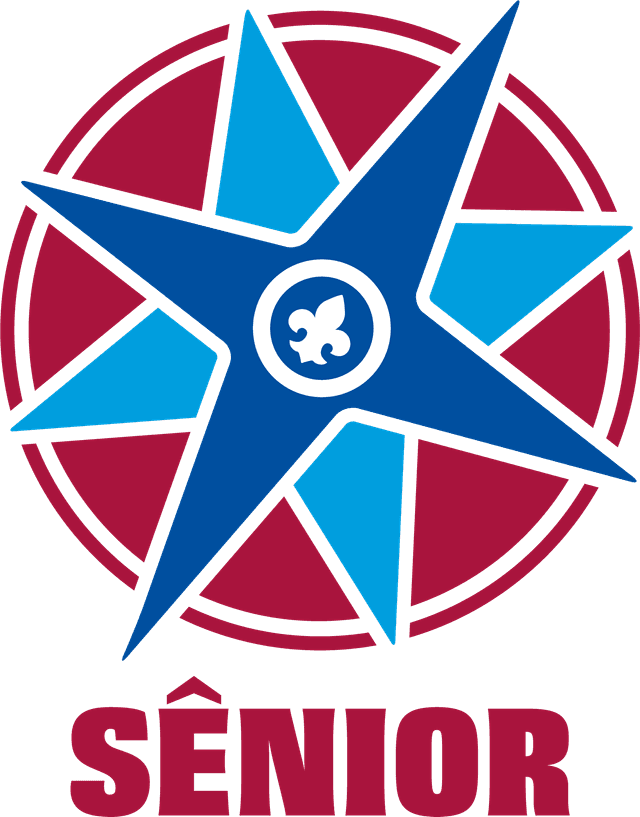 Logo Ramo Sênior