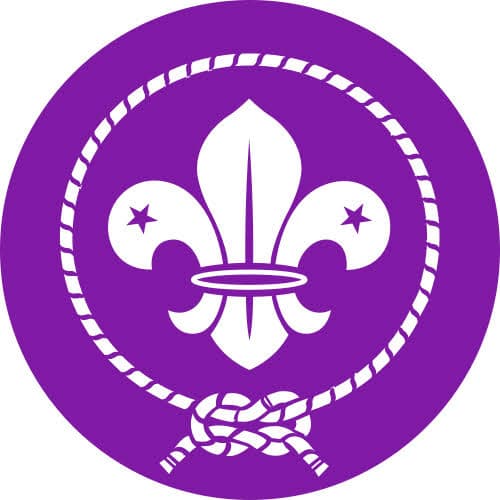 Emblema da WOSM, a Organização Mundial do Movimento Escoteiro